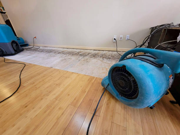 Professional Water Removal technician working in Pattison, TX